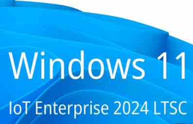 Windows11 lot LTSC 24H2 (26100.2894) 小修精简版