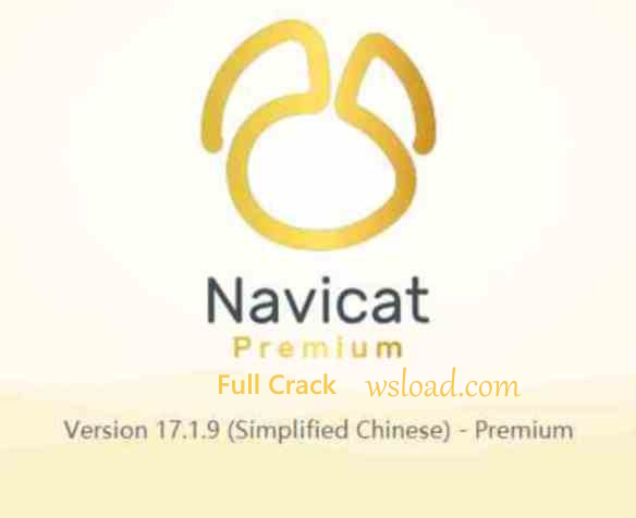 Navicat Premium v17.1.9  破解版&绿色版