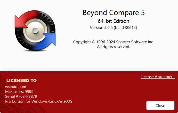 Beyond Compare 5.0.5 Preactivated Version & Portable version