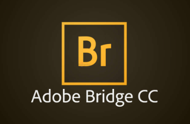 Adobe Bridge 2025 v15.0.1.412 直装激活版-wsload